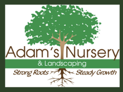 Lawn Maintenance Crew Foreman